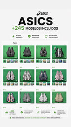 Proveedor de Zapatillas