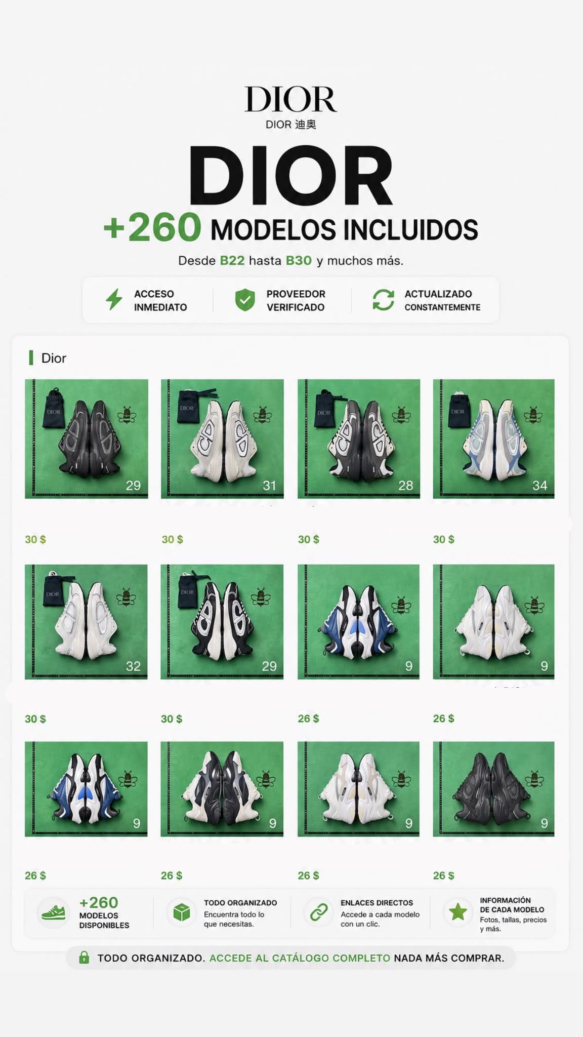 Proveedor de Zapatillas